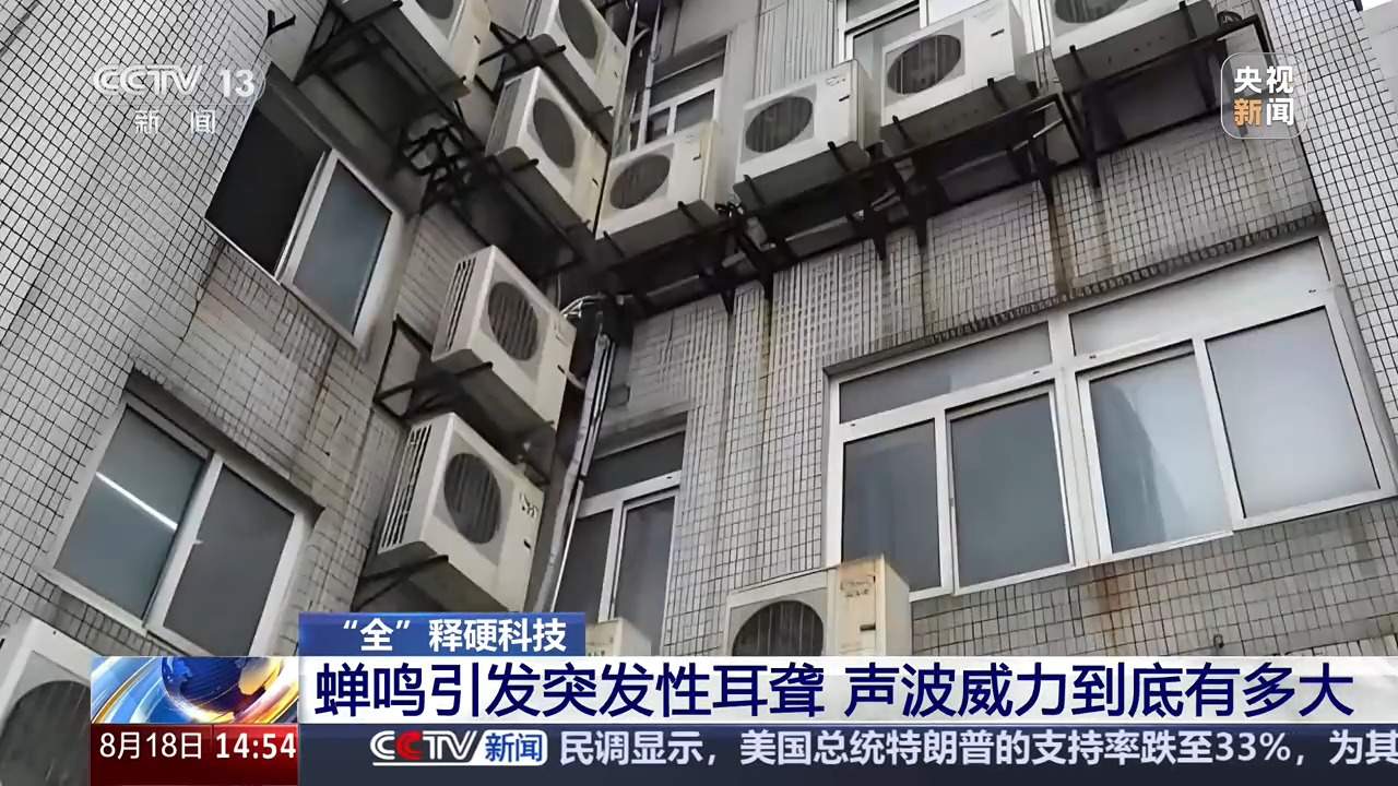 蝉鸣引发突发性耳聋,声波威力到底有多大?
