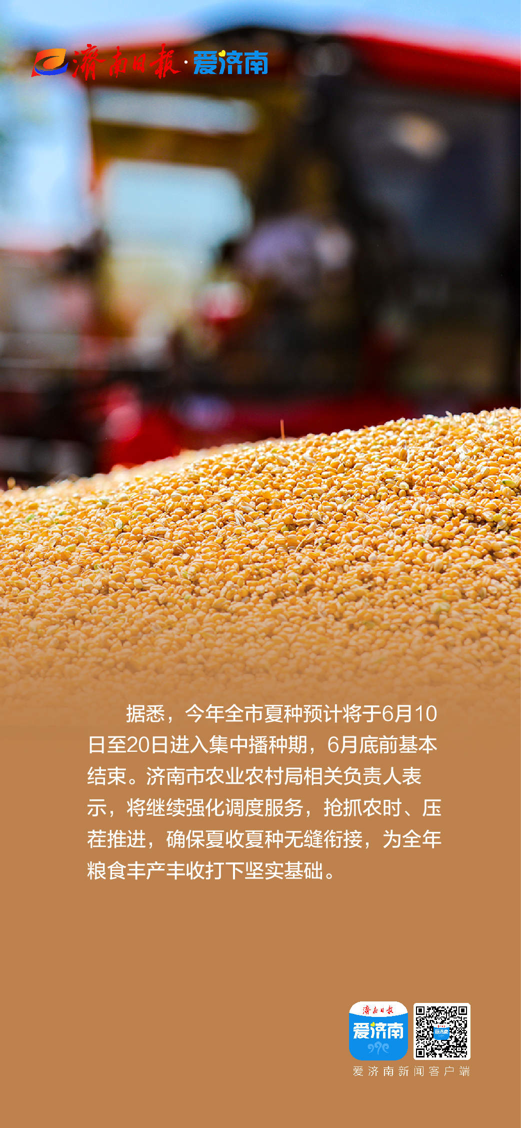 343万亩小麦开收，济南“三夏”生产有序开启