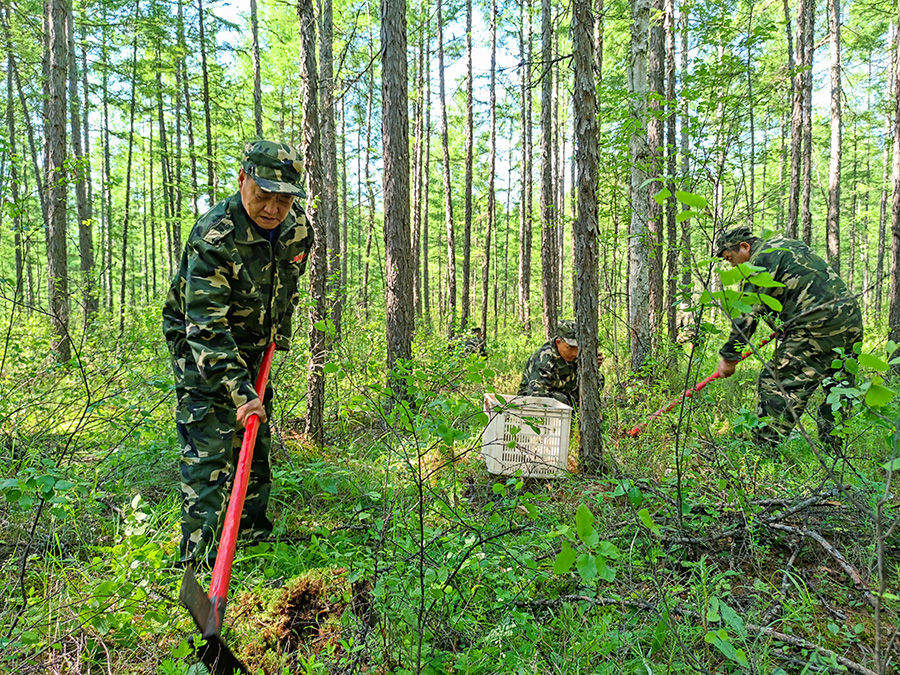 学习进行时｜“人不负青山，青山定不负人”