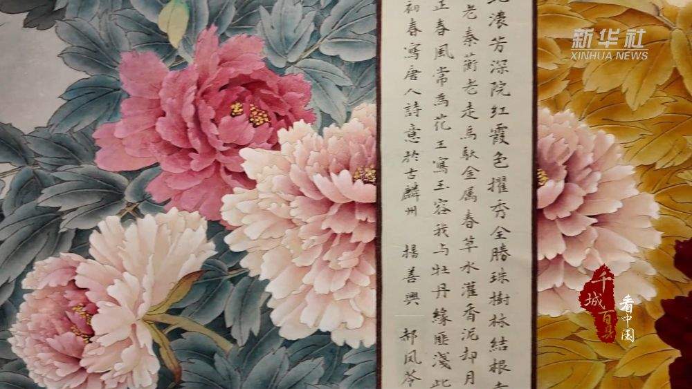 千城百县看中国·赏花季｜山东巨野：牡丹盛开 工笔凝芳