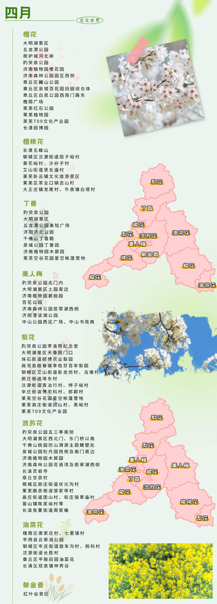 2026《泉城春日追花地图》来了