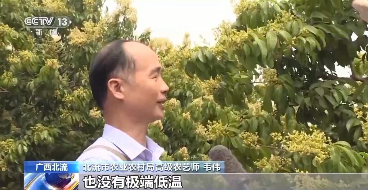 田间海上春耕忙 智能设备描绘出一幅幅“数字春耕图”