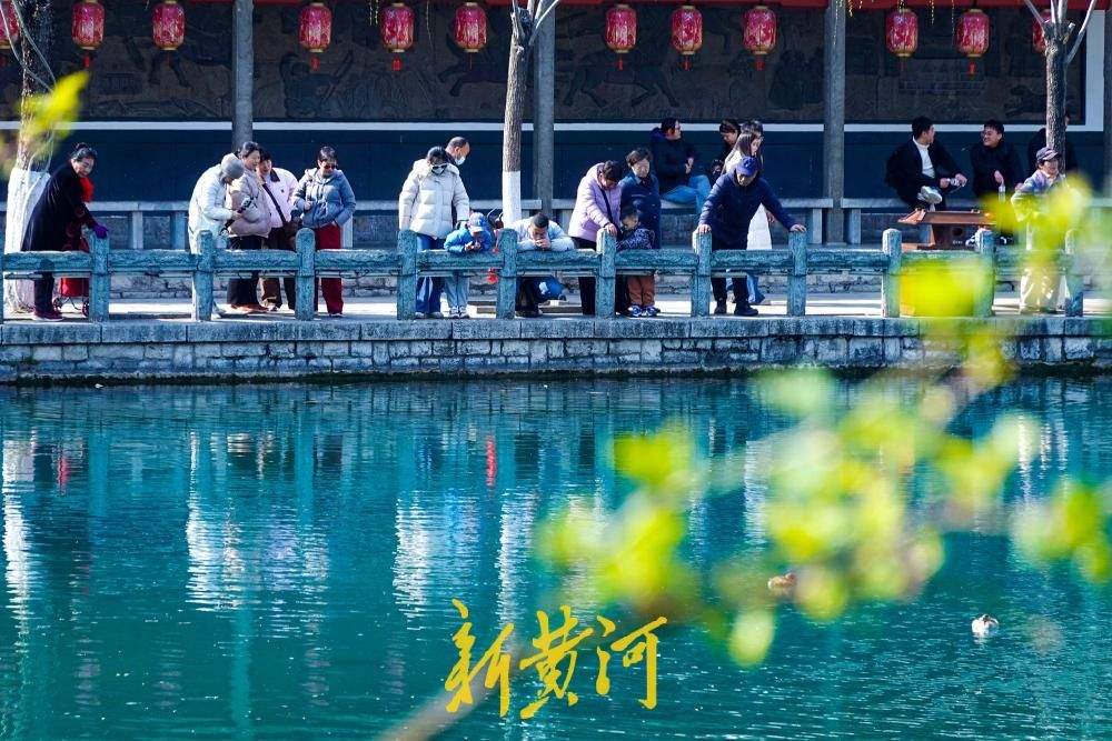 气温回升至12.9℃ 济南春柳摇曳泉更幽