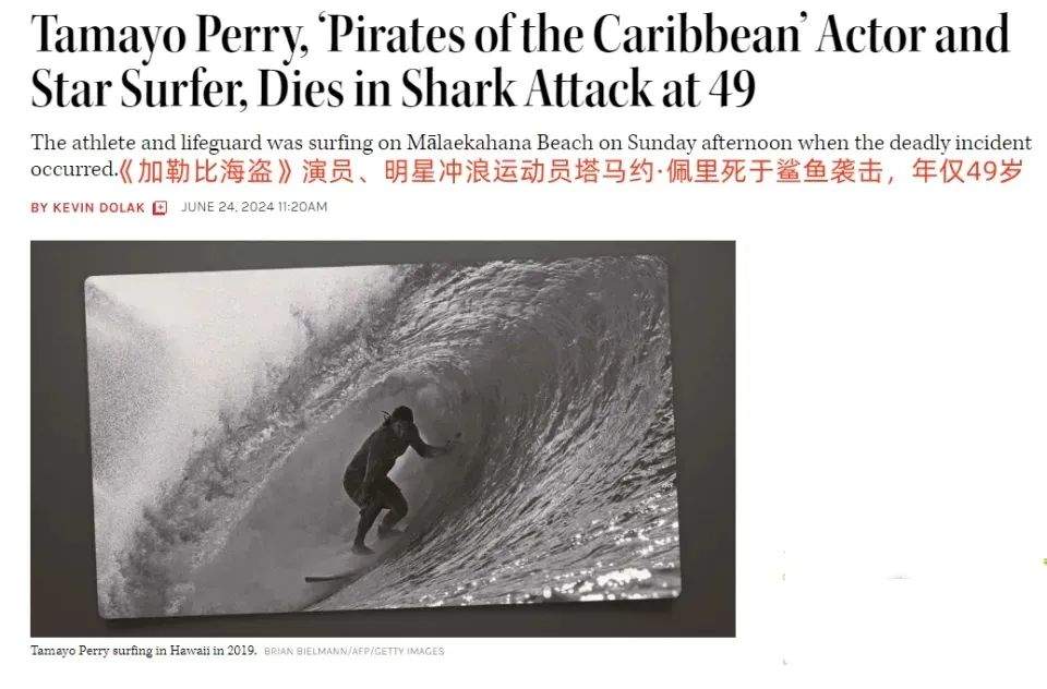 加勒比海盗男演员遭鲨鱼攻击身亡
