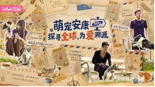 江苏电视台专访MAG：“探寻全球，为爱溯源”主题亮相，以全球源头透明彰显高端猫狗营养品标杆