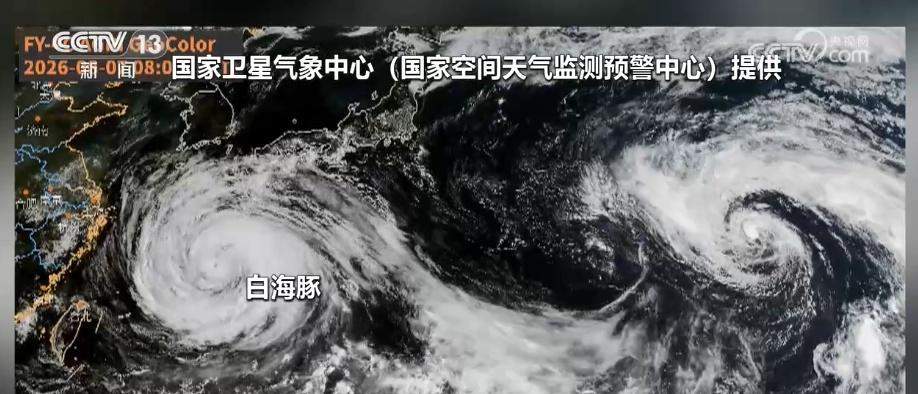 迎战“白海豚”，这份防御指南请收好！