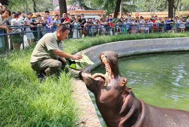 “粽”情游园，体验非遗……九大公园景区推出20余项活动庆端午