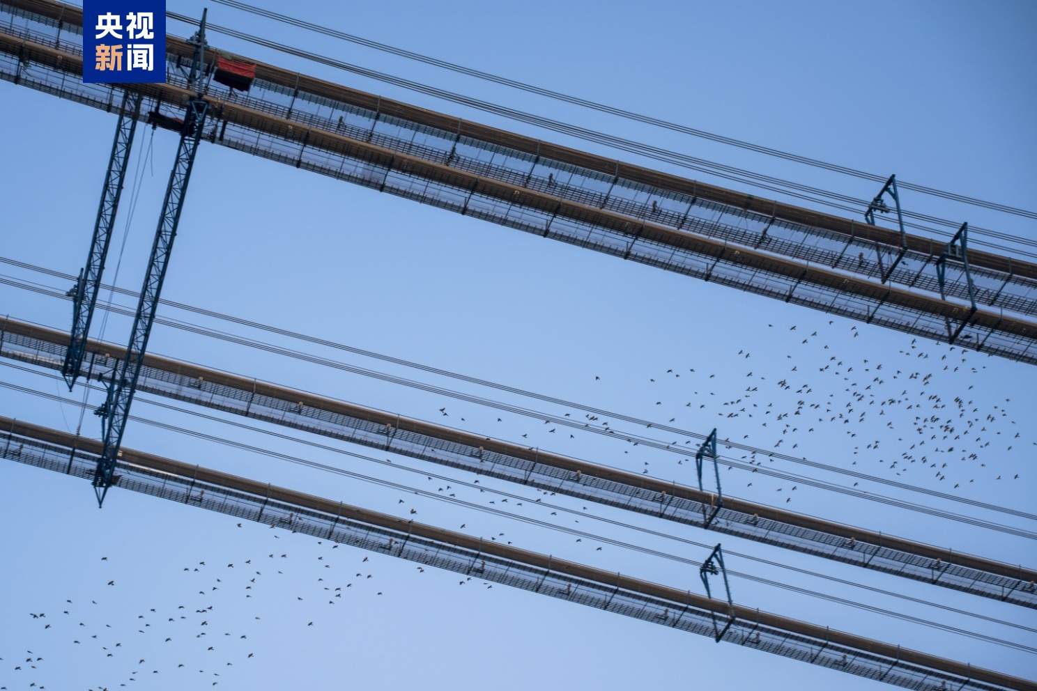 全长约26千米 世界最大跨度四主缆悬索桥完成主缆架设