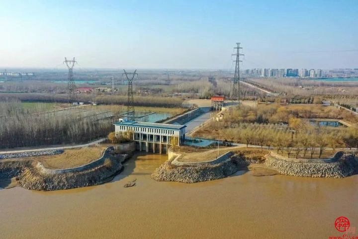 拂堤杨柳带春烟抢时河工赛归燕济南黄河河务局2024年工作全面铺开