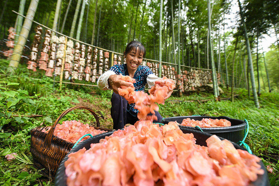 学习进行时｜“人不负青山，青山定不负人”