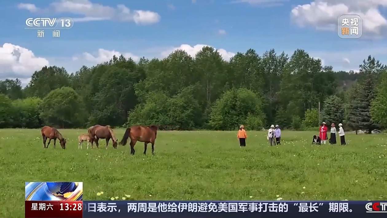 漠河北极村，13.2℃，避暑好去处！