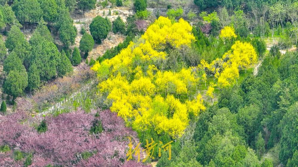 济南这处渣土山披绿变公园，成登山休闲好去处