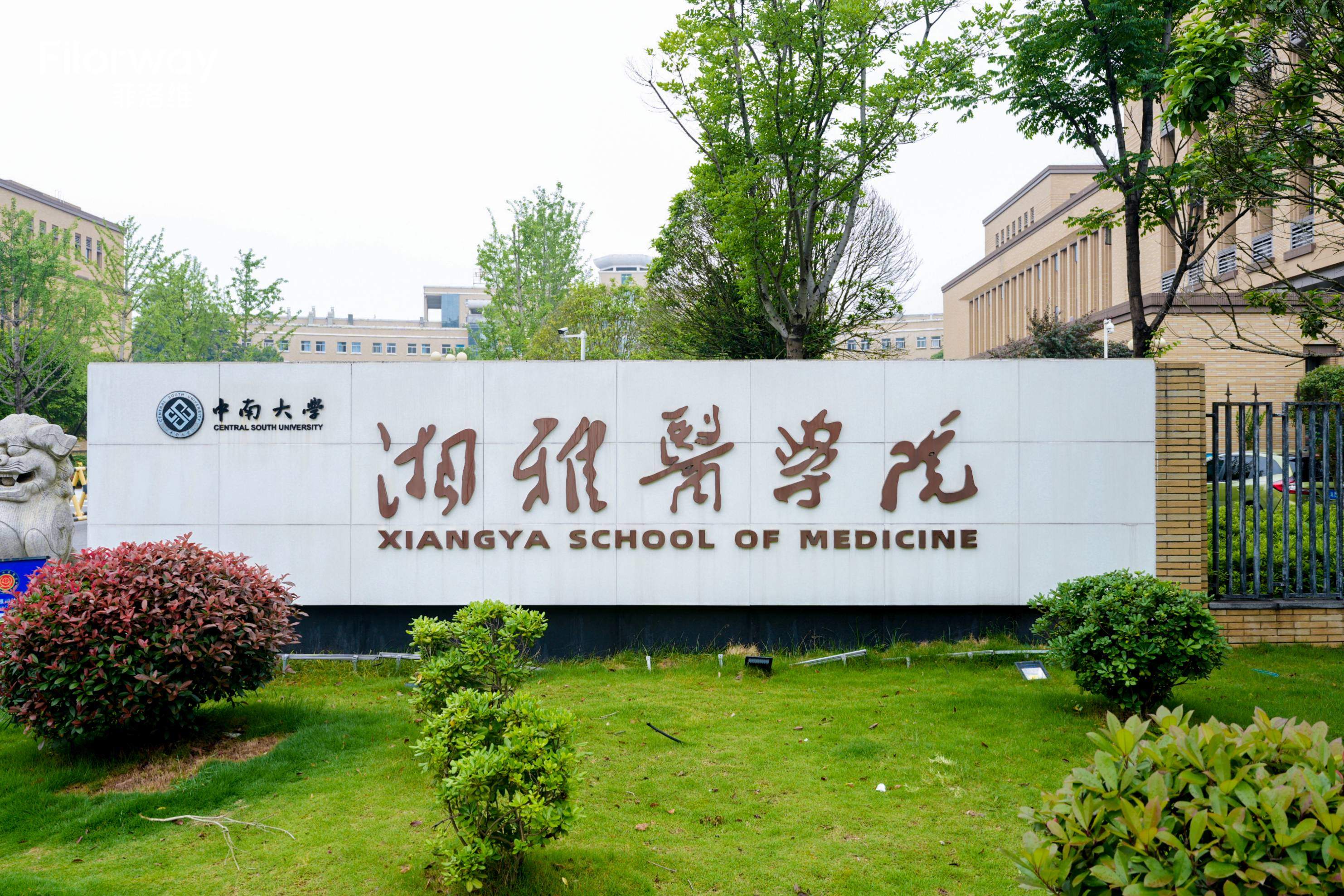 共筑学术高地，赋能终端发展：菲洛维 FMC 菁英门店研修班在长沙成功召开