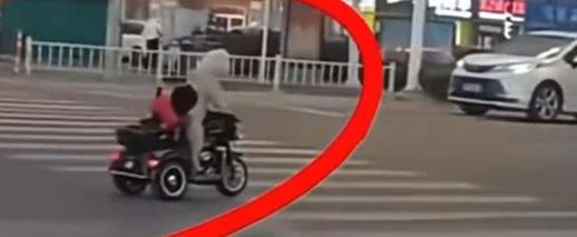 江苏淮安两只宠物狗骑电动车上路 交警回应