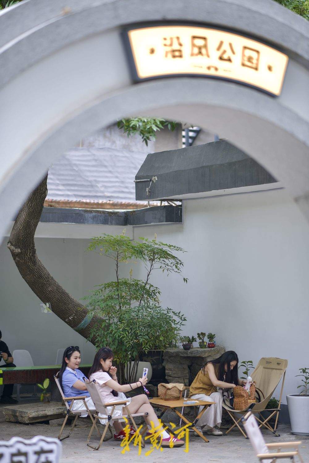 听竹声轻吟，济南百年公园再添新风景