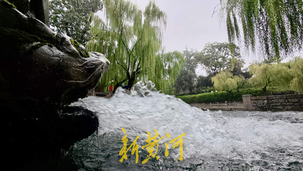 地下水位连涨，泉水漫出泉洞 ，现黑虎泉版“清泉石上流”