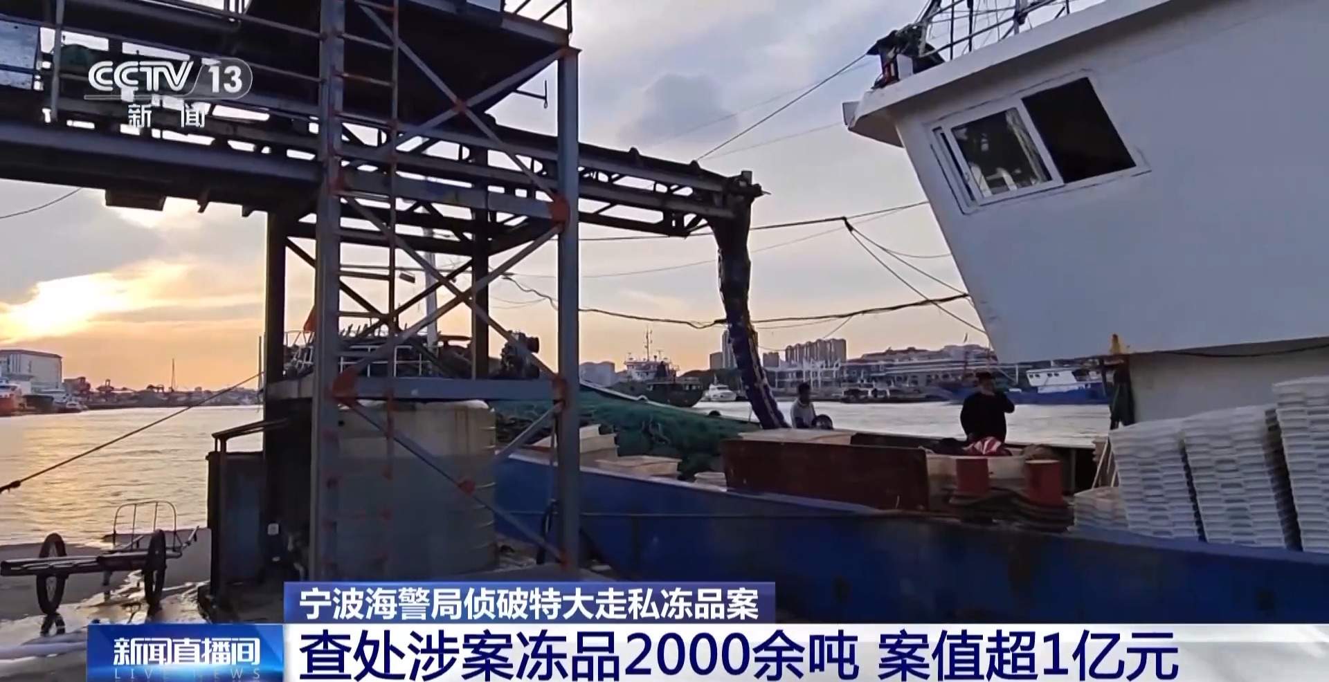 案值超1亿元！宁波海警侦破特大走私冻品案