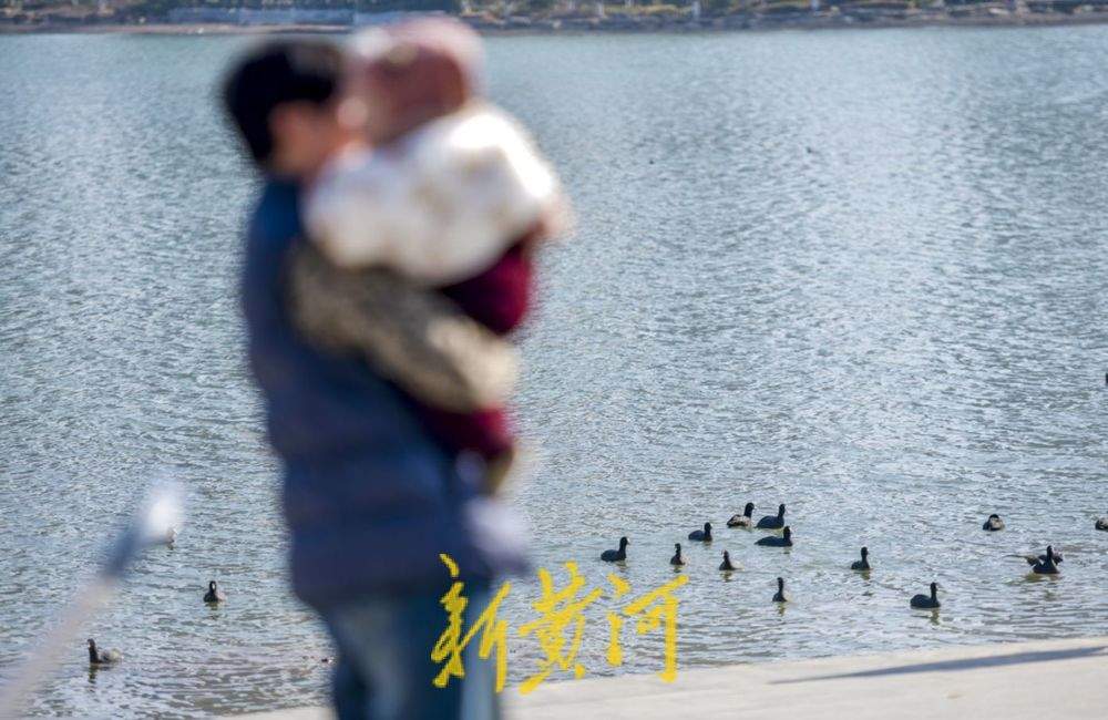 ϣƽ̤˷ɣ硰ִ