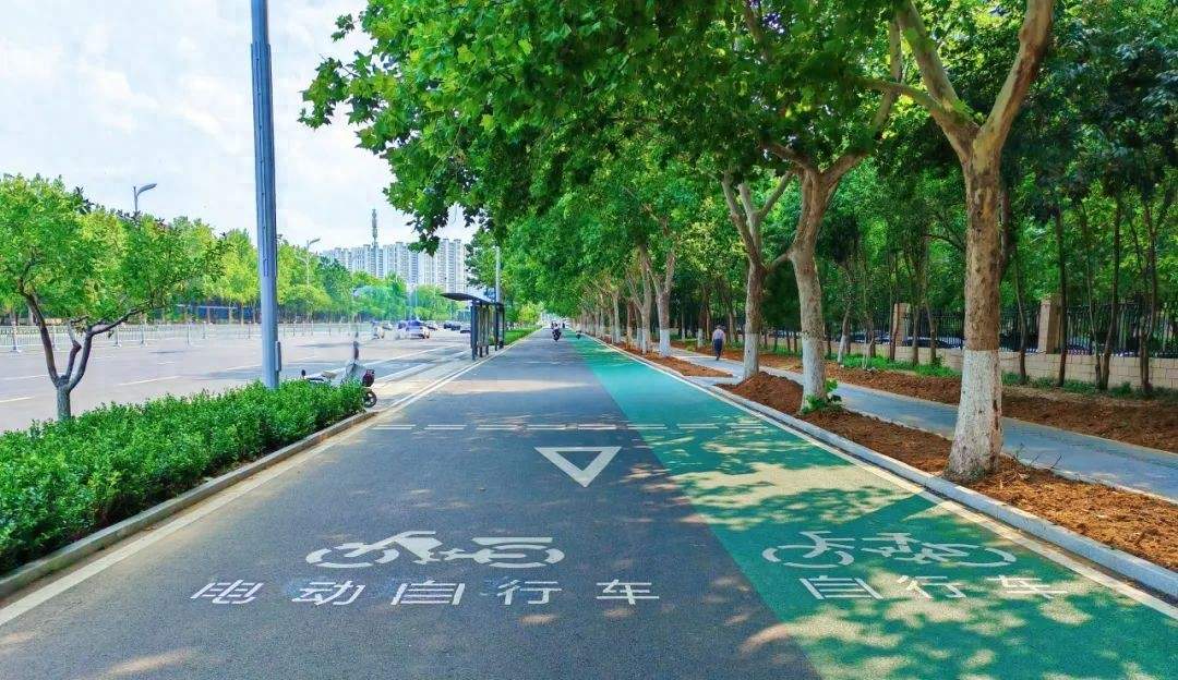 济南工业南路绿道焕新：9.5公里 “会呼吸” 的风景线 重构市民慢行生活