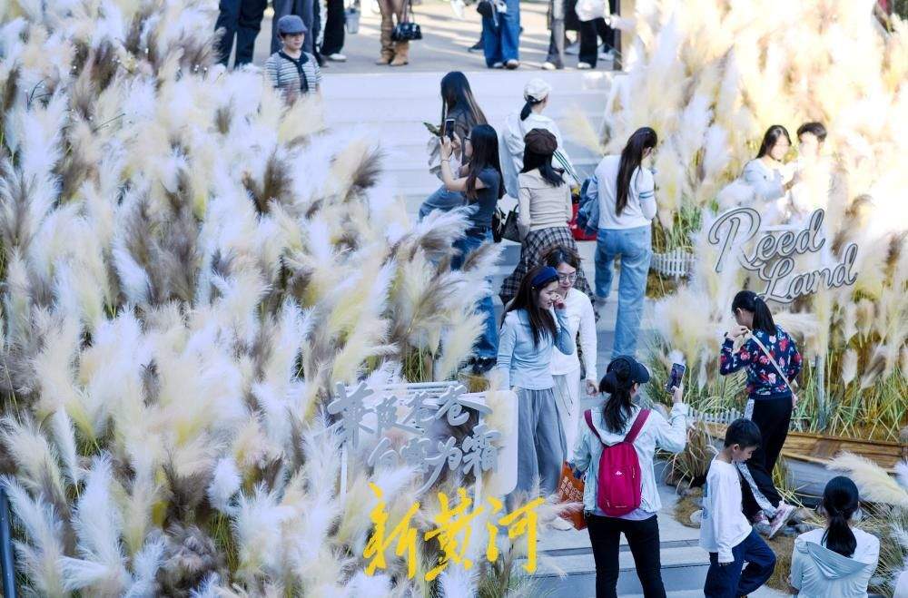 网红打卡点吸引客流,济南老商埠焕发出蓬勃的青春活力