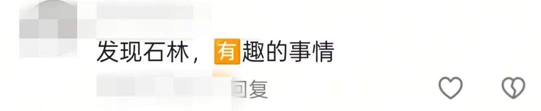 山东一地现石林奇观，下面有溶洞或黄金？当地：或为普通灰岩，可利用价值不大