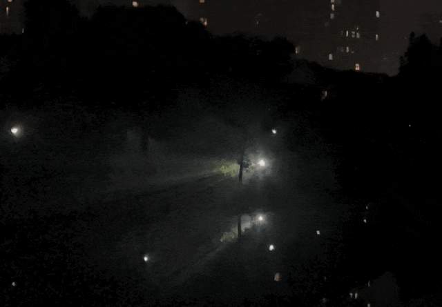 知了正大量出现，很多人在抓！有人报价800元/公斤