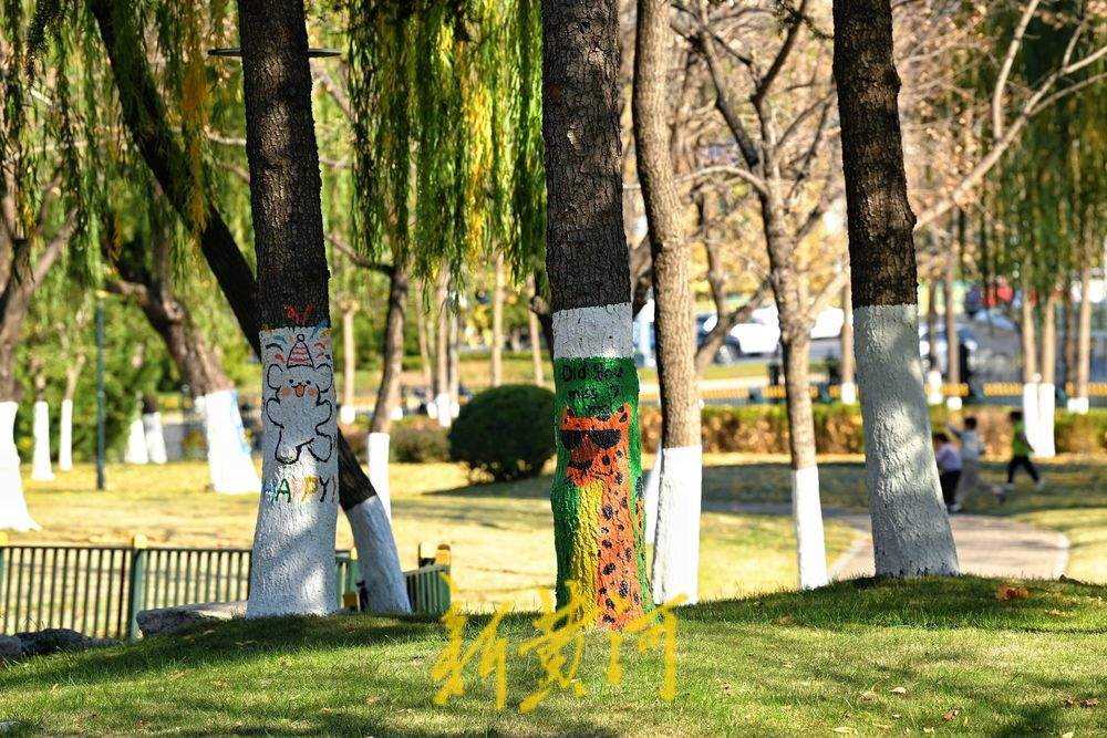 “熊猫爬树”“青蛙放气球”……济南奥体中心巧绘冬日树景