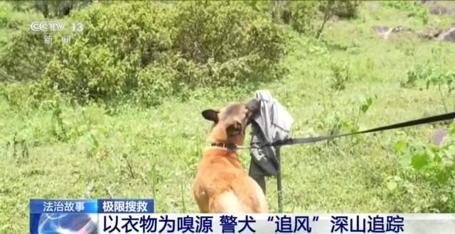 千人进山、警犬追踪 多方合力搜寻13天找到失联男童