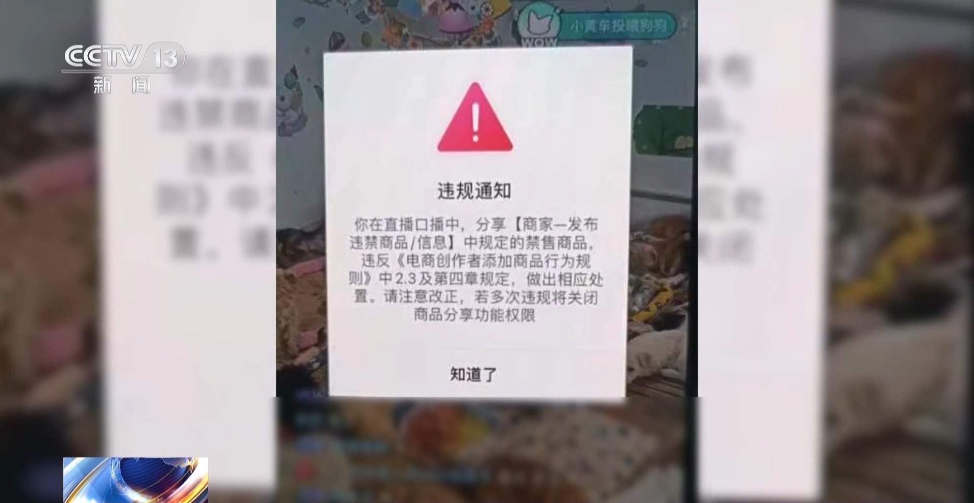 骗250万善款仅3000元用在狗身上 起底流浪动物网络救助骗局