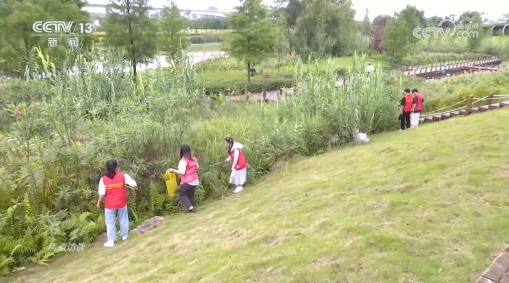 焦点访谈｜书写生态答卷，各地交出亮眼“绿色成绩单”