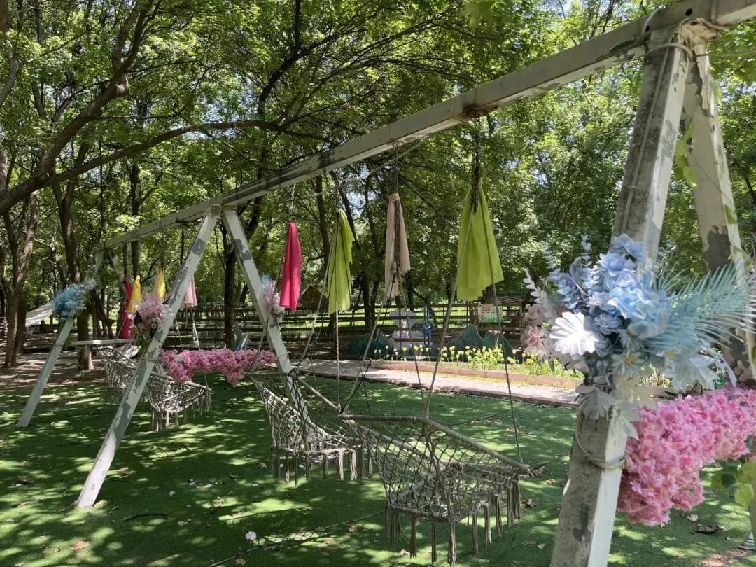 无需门票！济南这一景区免费开放