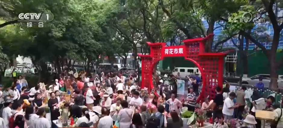 “颜值”变“价值”！一朵荷花“开出”消费新花样 “链”出消费新业态‌