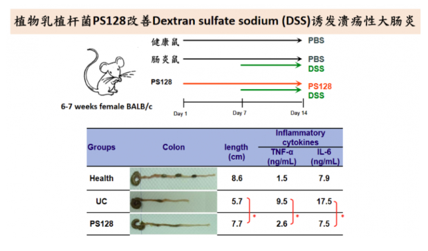 情绪益生菌PS128亮相儿科学术盛会,守护儿童、青少年情绪健康