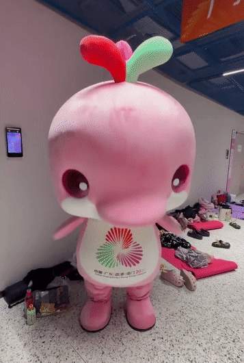 彻底火了！你认识它俩不？