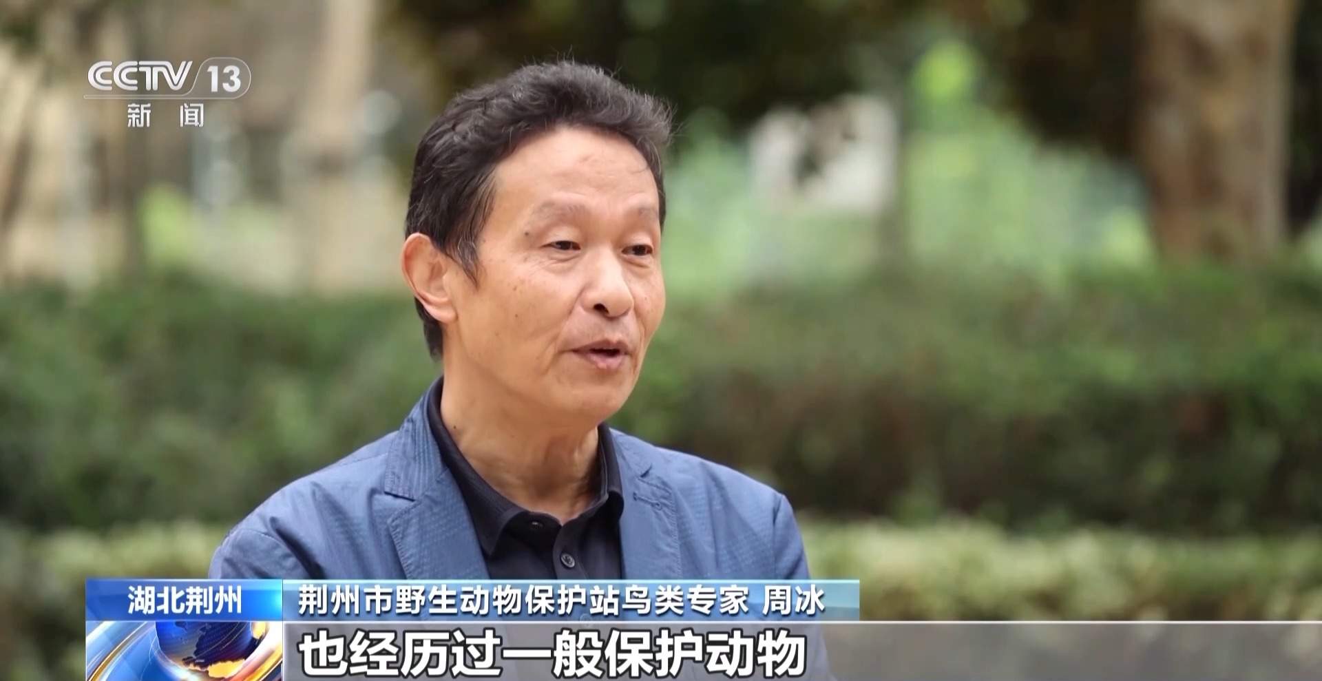 涉案1600余万元 湖北警方打掉54人非法捕杀候鸟团伙