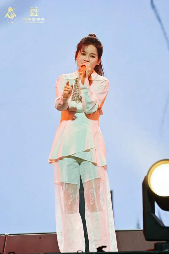 2025兰陵美酒群星盛典演唱会举办圆满成功！