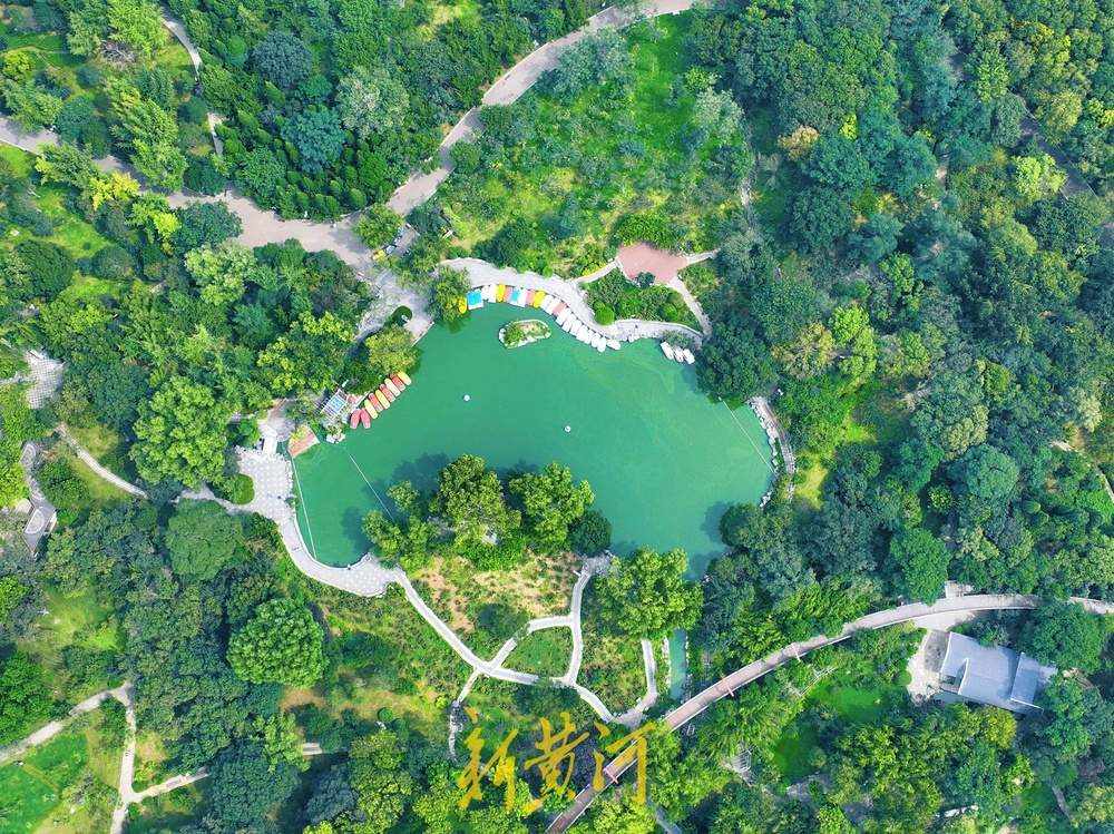 泉城公园里清爽怡人，泉城秋色画卷徐徐展开