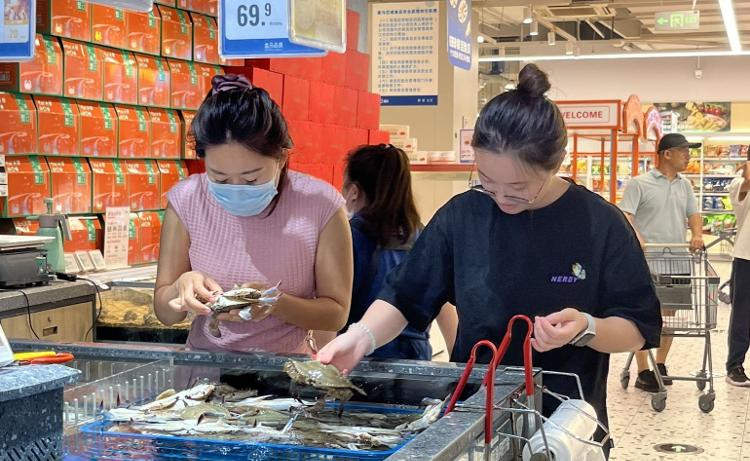 中秋探访济南市场：梭子蟹仍占“C位” 山东本地蟹9月大量上市
