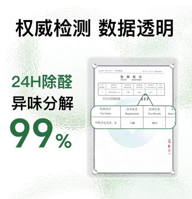 去甲醛最有效的产品