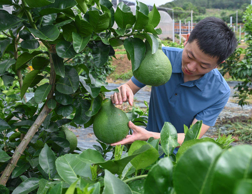 习近平总书记引领中国从脱贫攻坚迈向乡村全面振兴