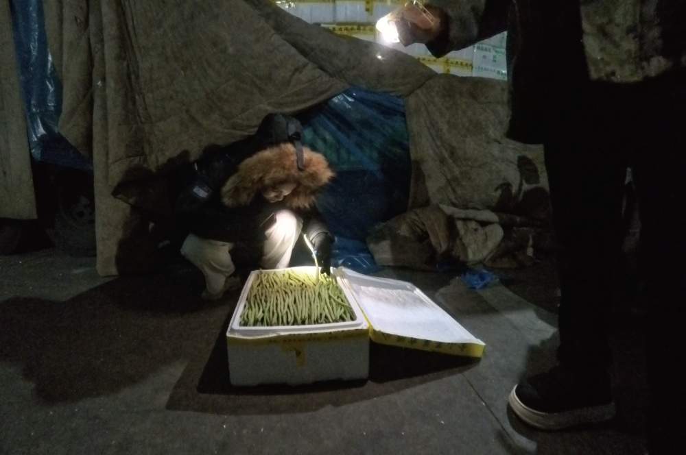 新春走基层·记者体验360行