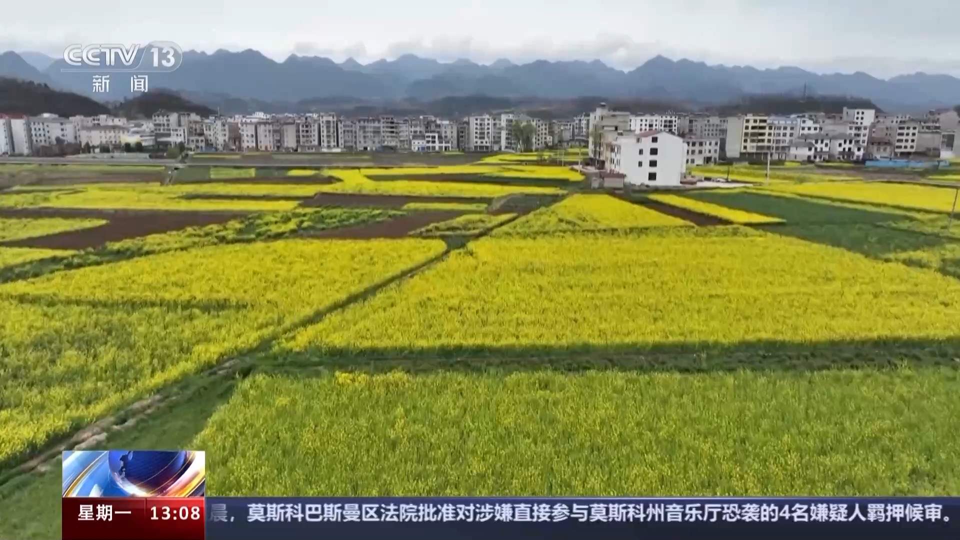 事关粮油丰产丰收这20天很关键