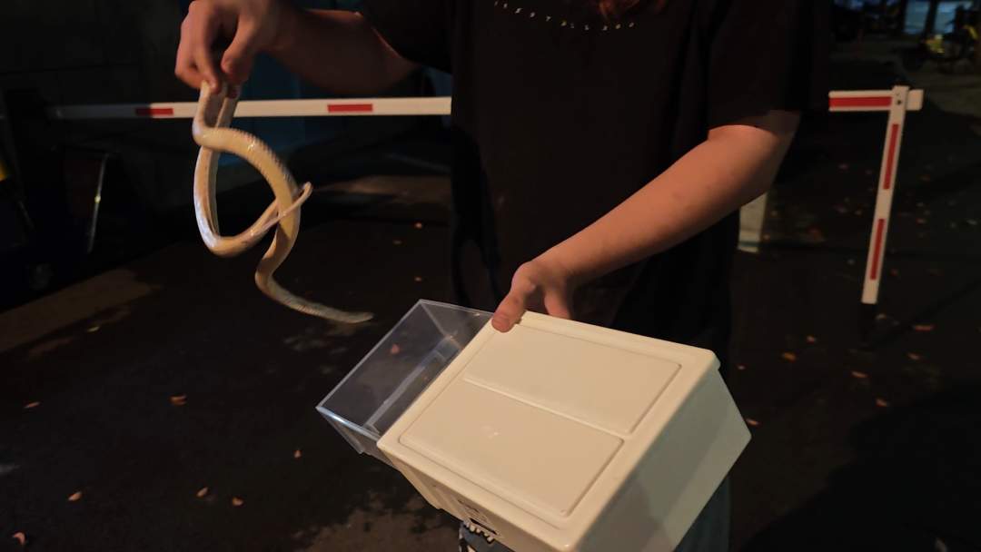 太吓人！深夜，宁波一小区楼道里惊现1.5米长大白蛇！