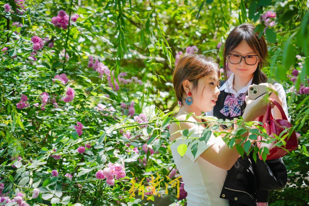 一年四季 泉在济南｜济南五龙潭公园风景如画 游客尽享假日时光