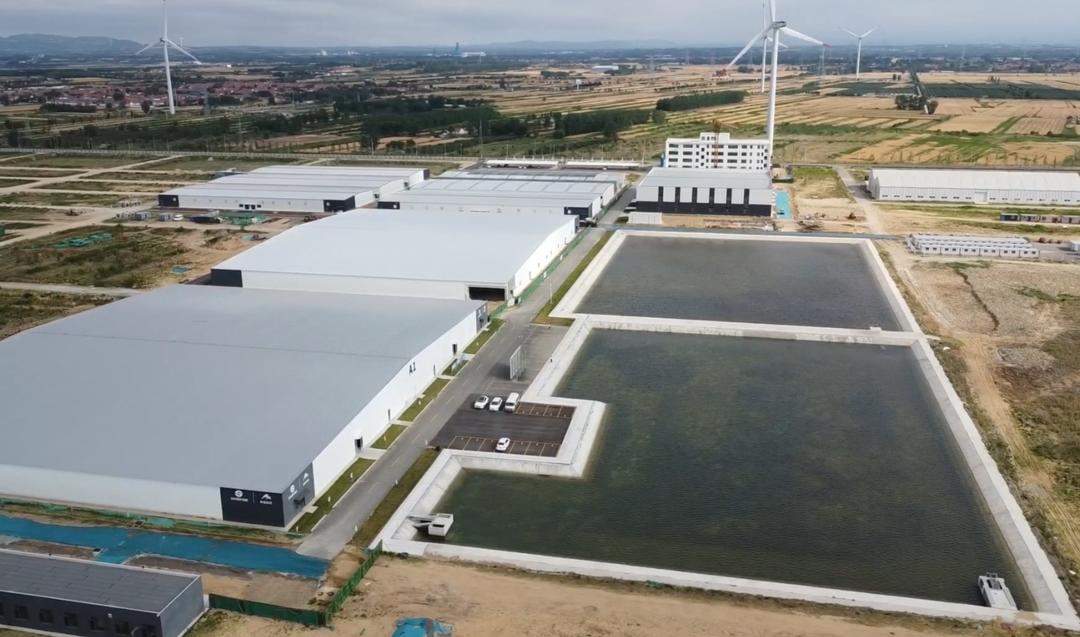 新春走基层丨北纬37度游来两条热带红鱼