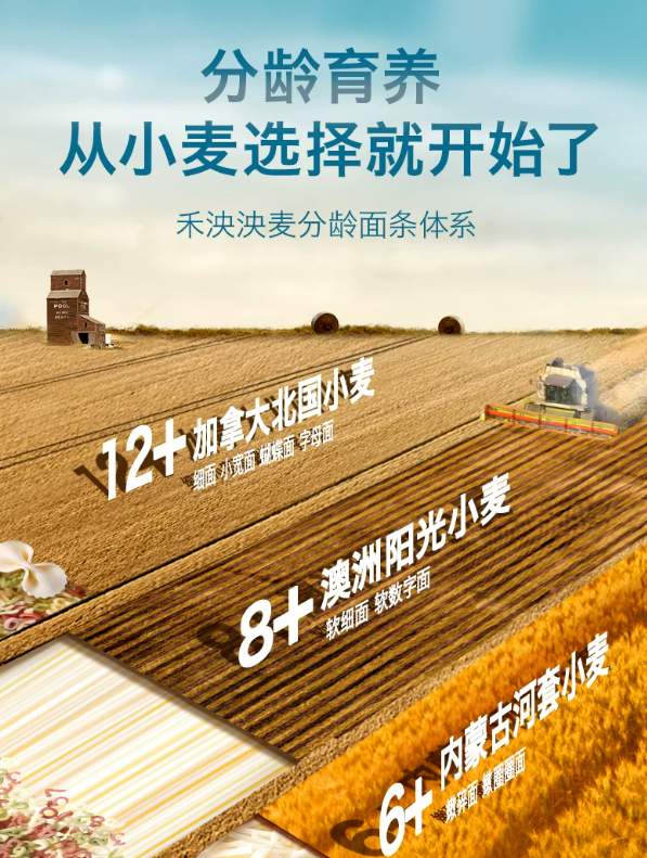 一根禾泱泱面条的“营养方程式”：解码婴幼儿辅食的精细化之路
