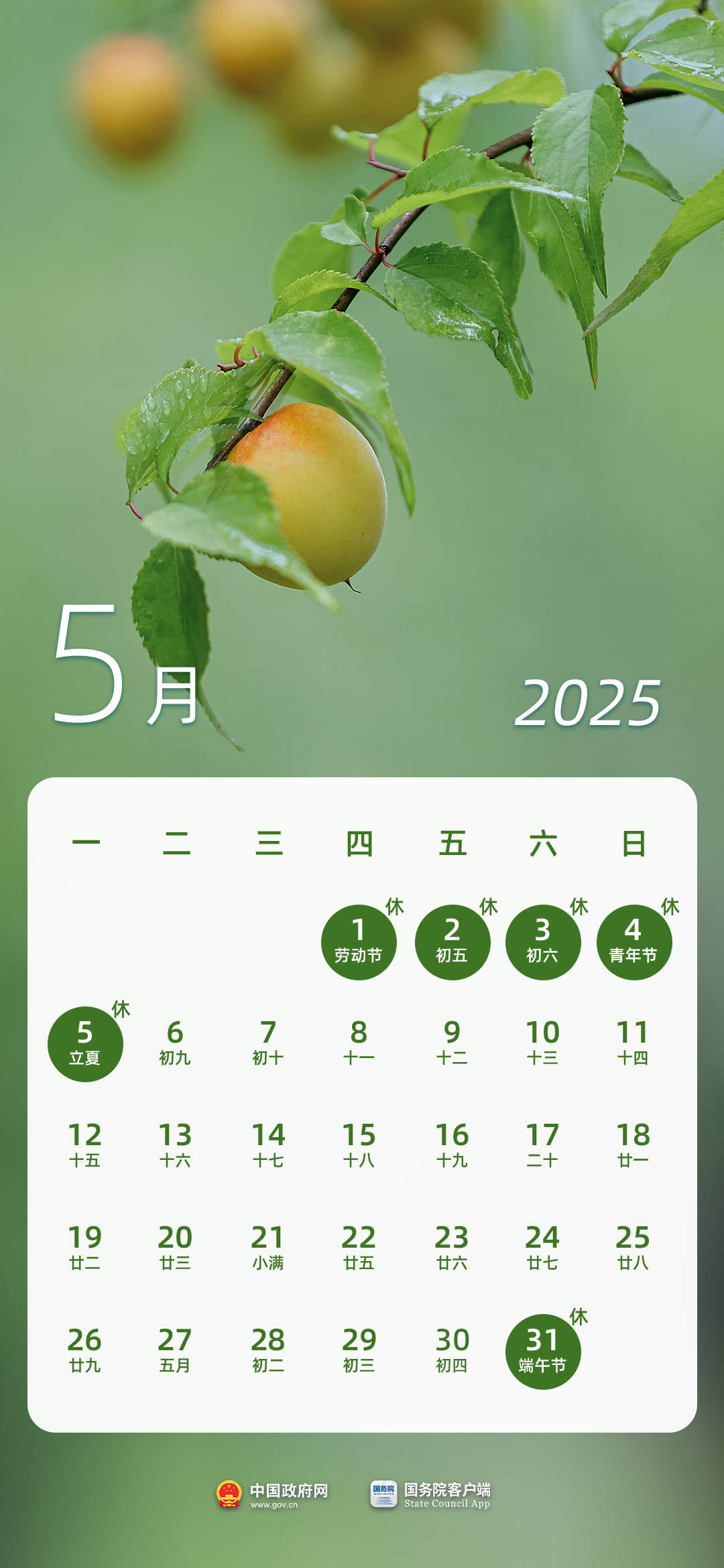 春节8天,劳动节5天……2025年法定节假日安排出炉