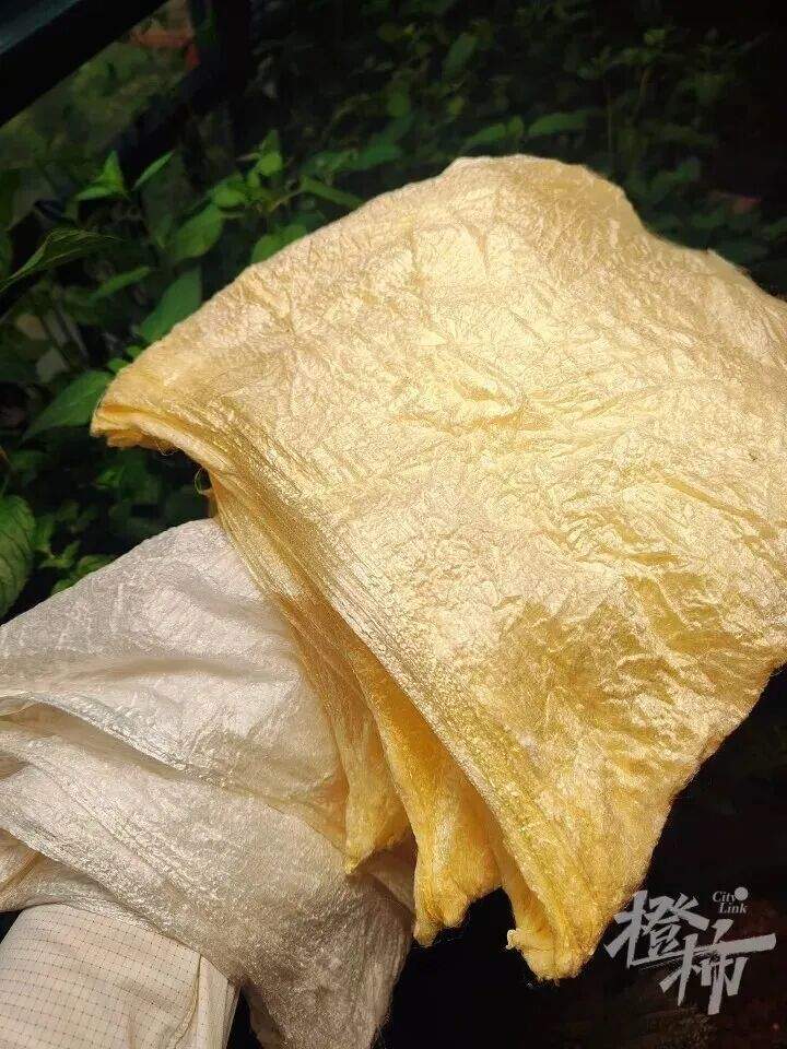 儿子说想做蚕丝被，妈妈网购1万粒蚕卵，耗时64天手搓两床蚕丝被