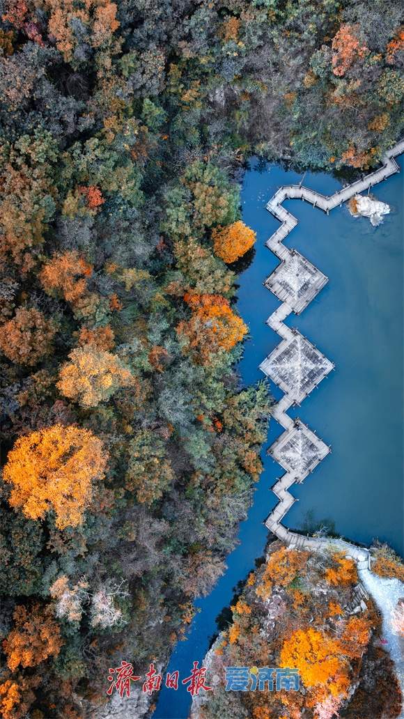 济南九如山:秋日斑斓如诗画,手工体验让秋天 “触手可得”