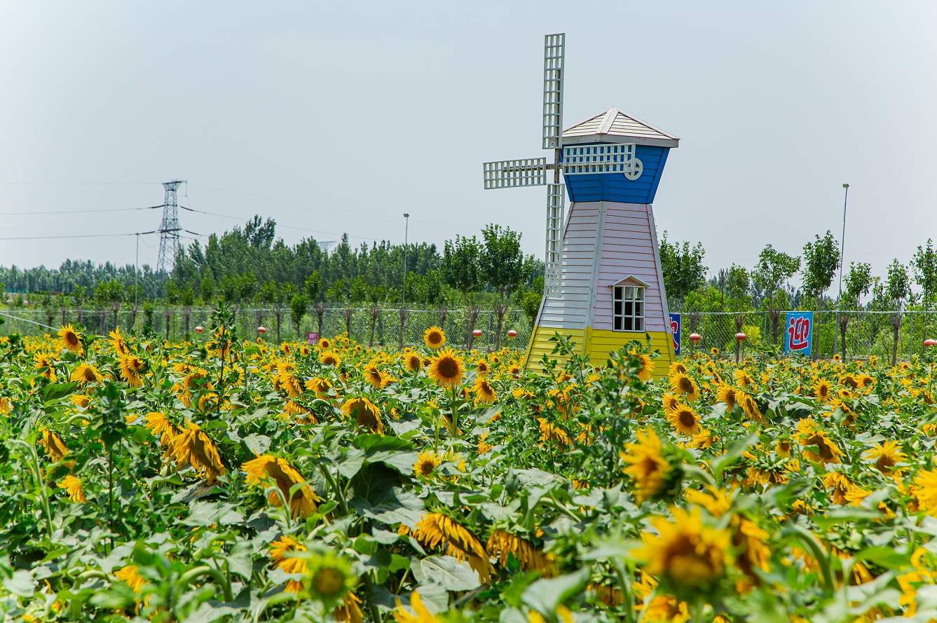 济南这个小村落，凭啥摘得“国字号”桂冠？